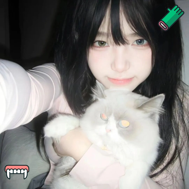 用户